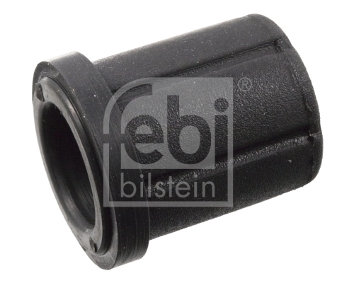 Bushing, leaf spring